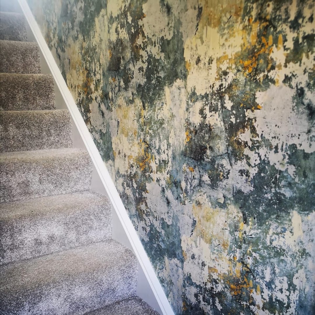 Sean Holt Painter and Decorator — Photos 11